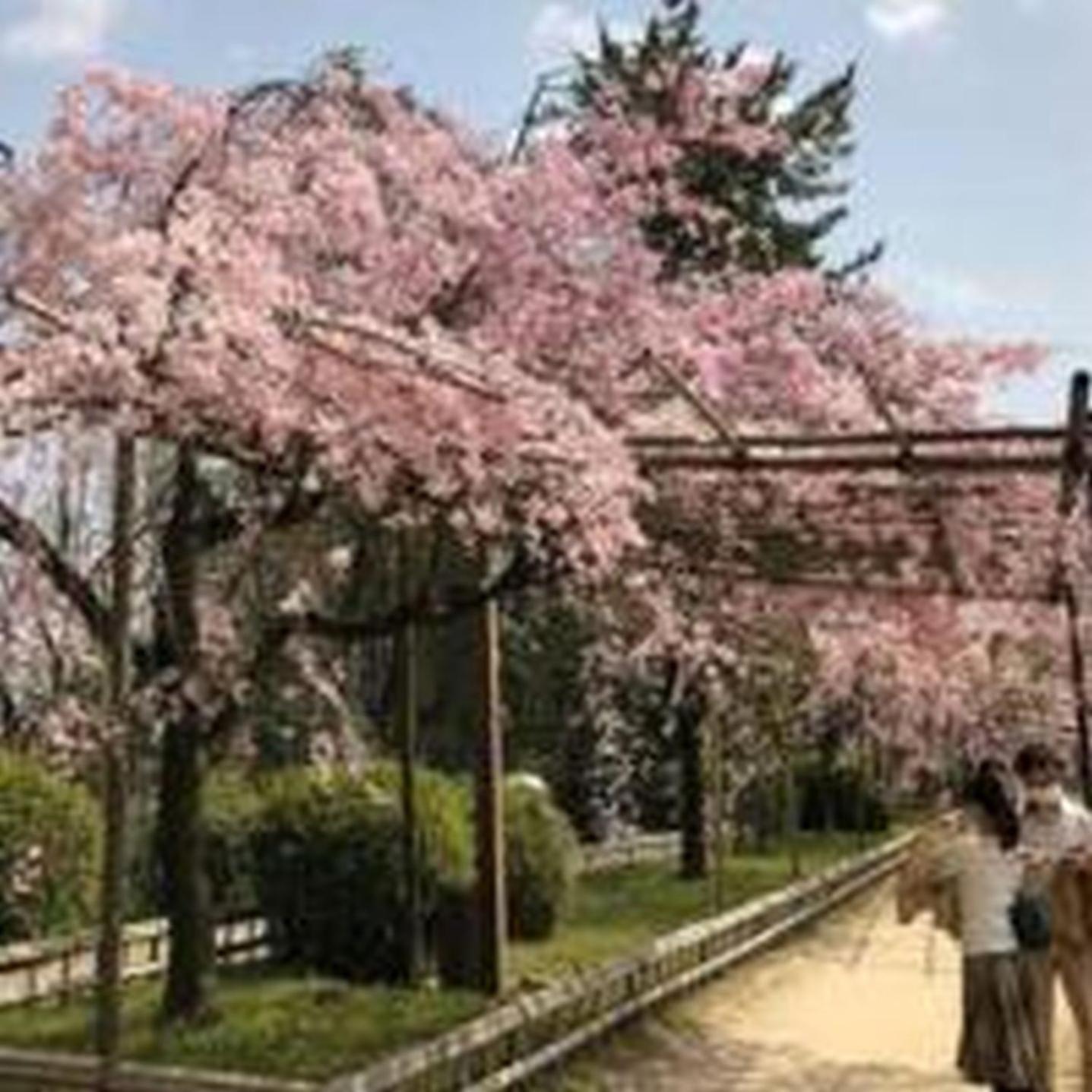 むつみ庵此花601 Lejlighed Osaka Eksteriør billede